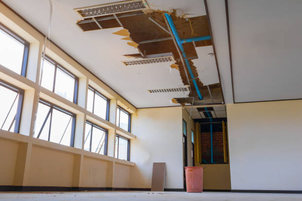 Best Water damage cleanup near me  in Ogallala, NE