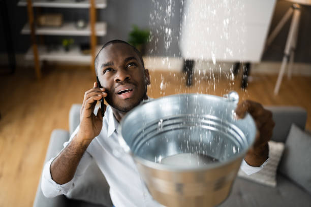 Best Water damage contractors near me  in Ogallala, NE