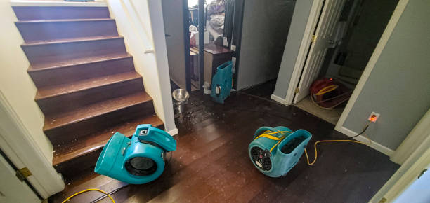 Best Professional water damage repair  in Ogallala, NE