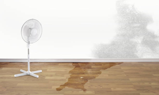 Best Ceiling water damage repair  in Ogallala, NE