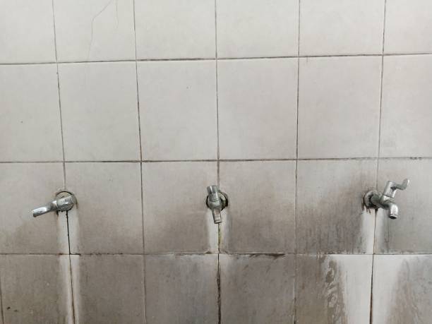 Best Carpet water damage restoration  in Ogallala, NE