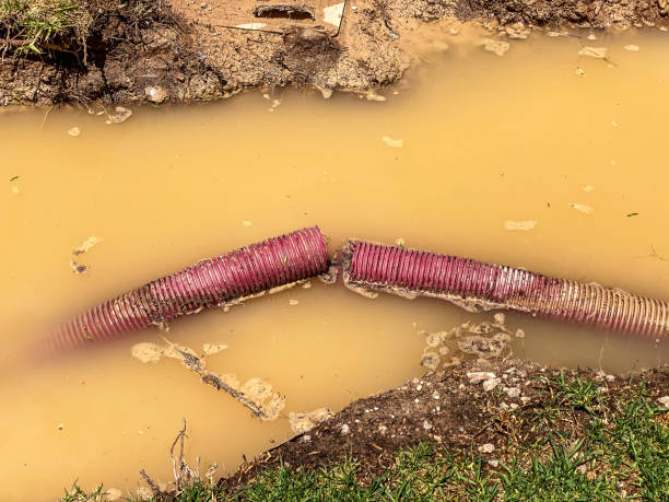 Best Sewage cleanup and water damage restoration  in Ogallala, NE